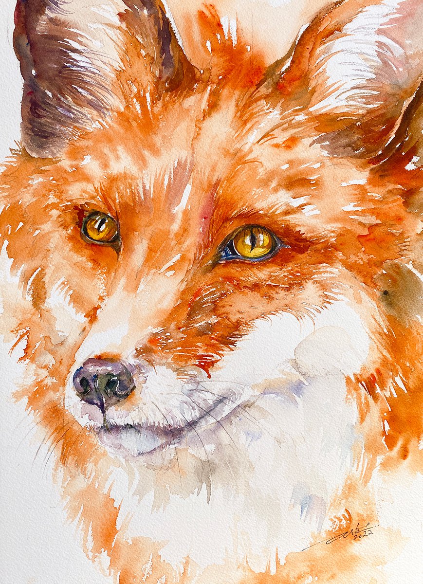 Red Fox Renne by Arti Chauhan