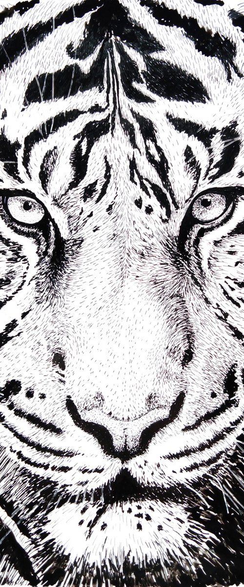 The piercing gaze of a tiger by Liubov Samoilova