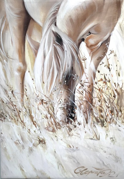 «Morning. Fog. White horse» by Olga Chernova