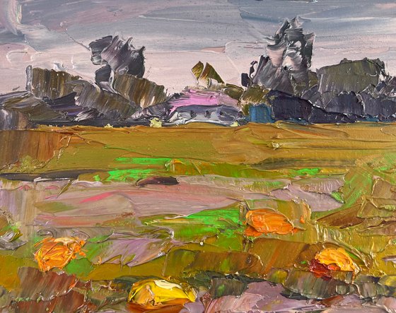 Autumn has Come to the Pumpkin Field