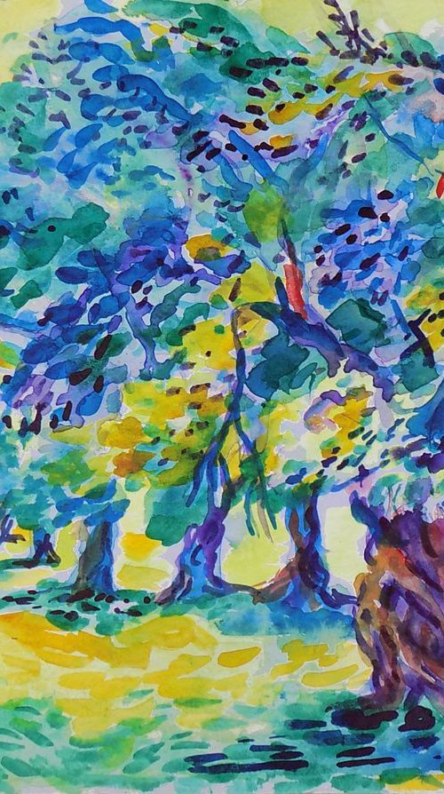 Old olive orchard XIII by Maja Grecic