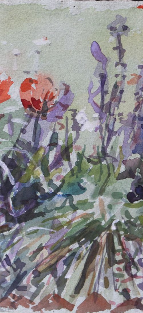 Poppies & Catmint by Kenneth Hay