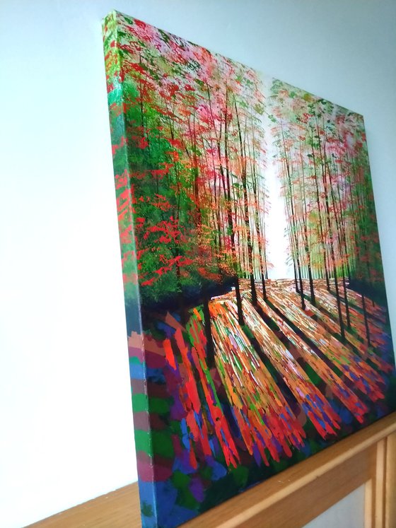 Fall of the Forest Light