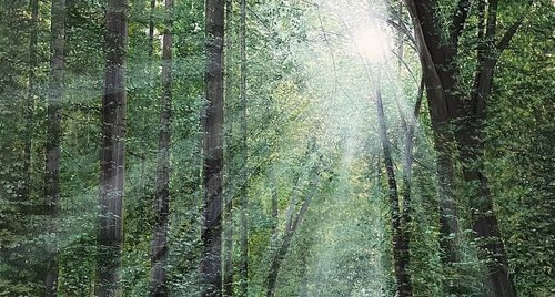 Artwork by Victoria Obolensky