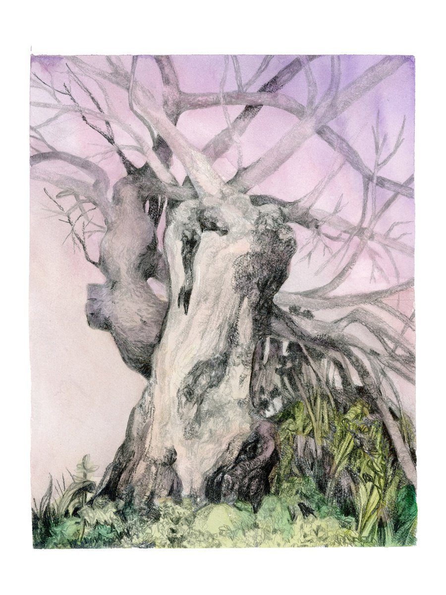 Illustrative Painting , An Ancient Heart By Dena Adams, 9 X 12, Artwork For Sale On Artfinder