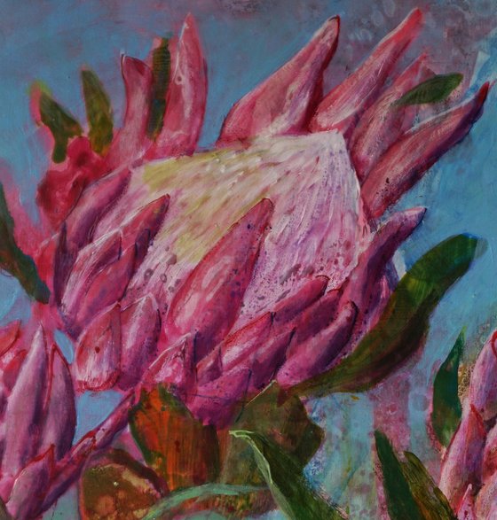 Protea Symphony III.