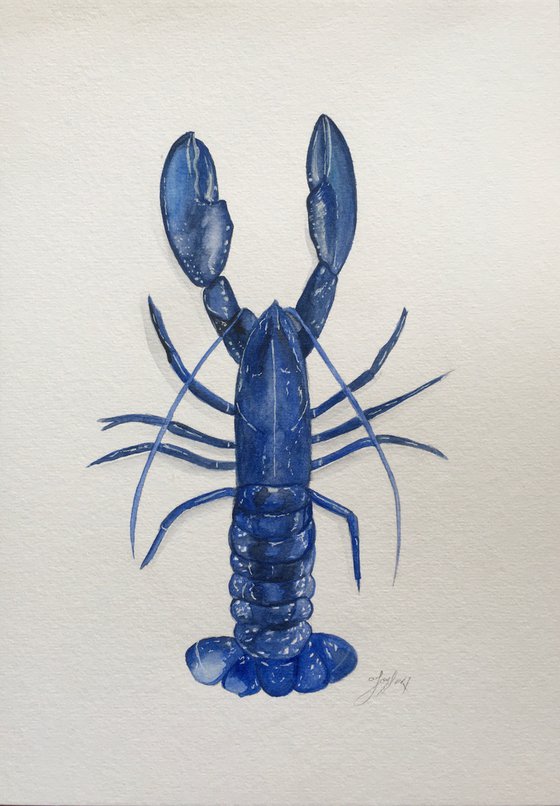 Blue lobster