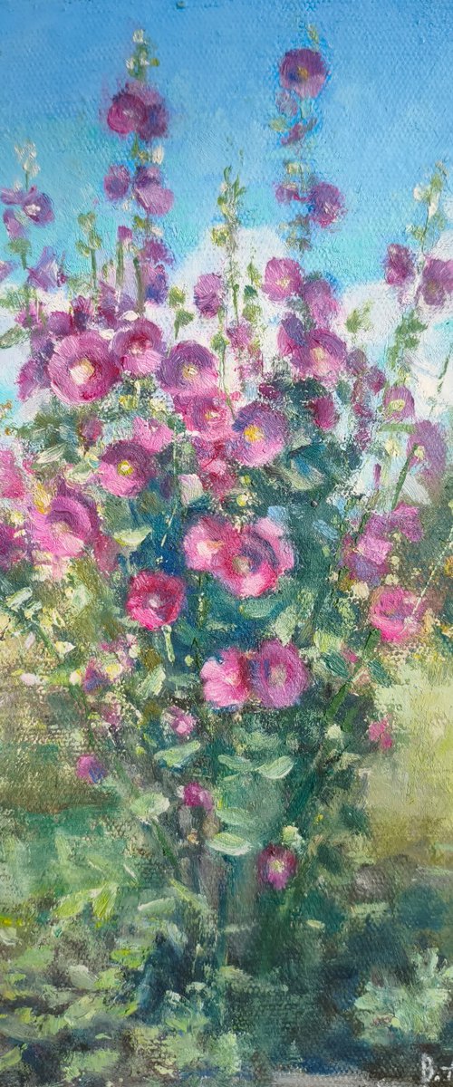 Mallow by Valentina Andrukhova