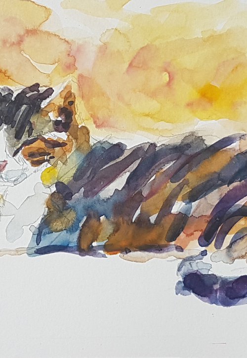 A relaxed cat by Silvia Flores Vitiello