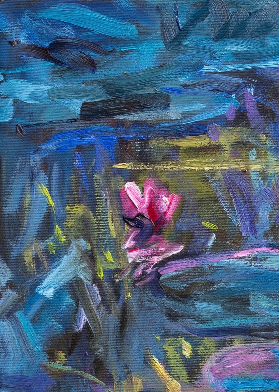 Lily Pond