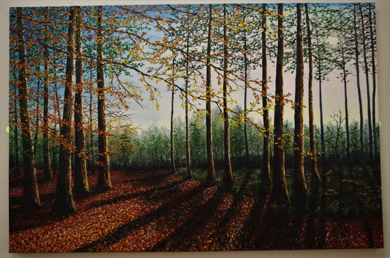 Forest Clearing. 100cm X 150cm