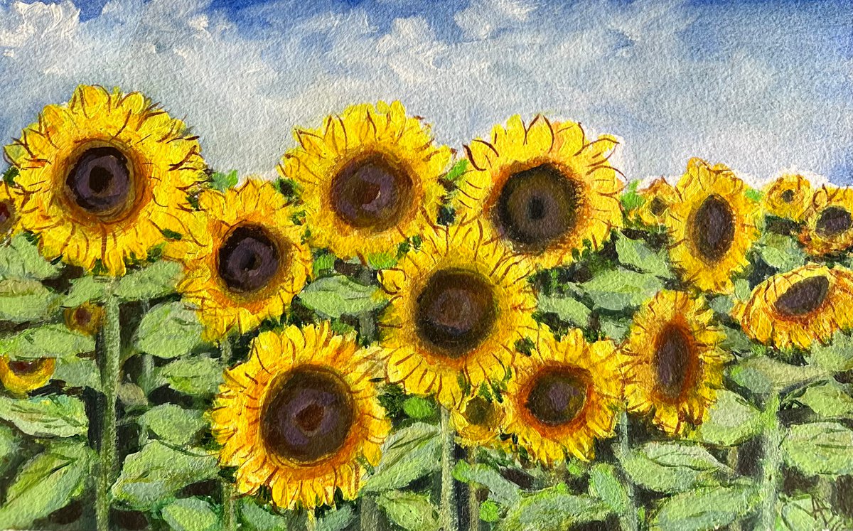 Sunflowers on handmade paper by Amita Dand