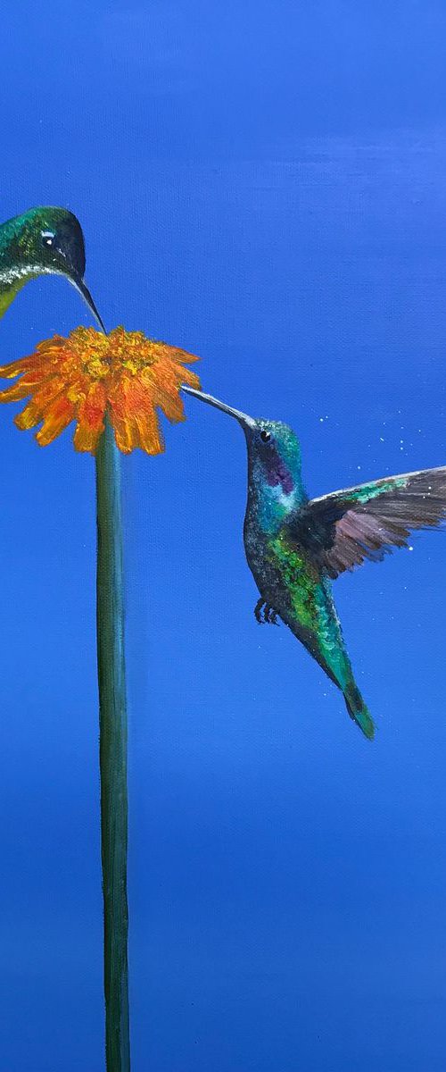 A Fine Balance by Laure Bury