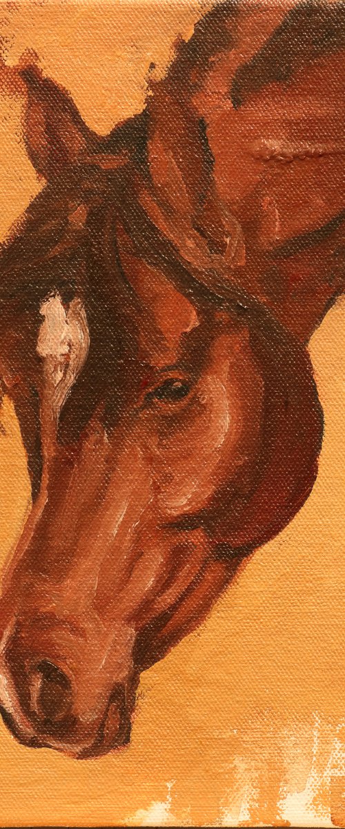 Equine Head Arab Chestnut (study 14A) by Zil Hoque