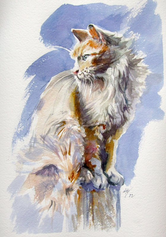 Sitting cat II