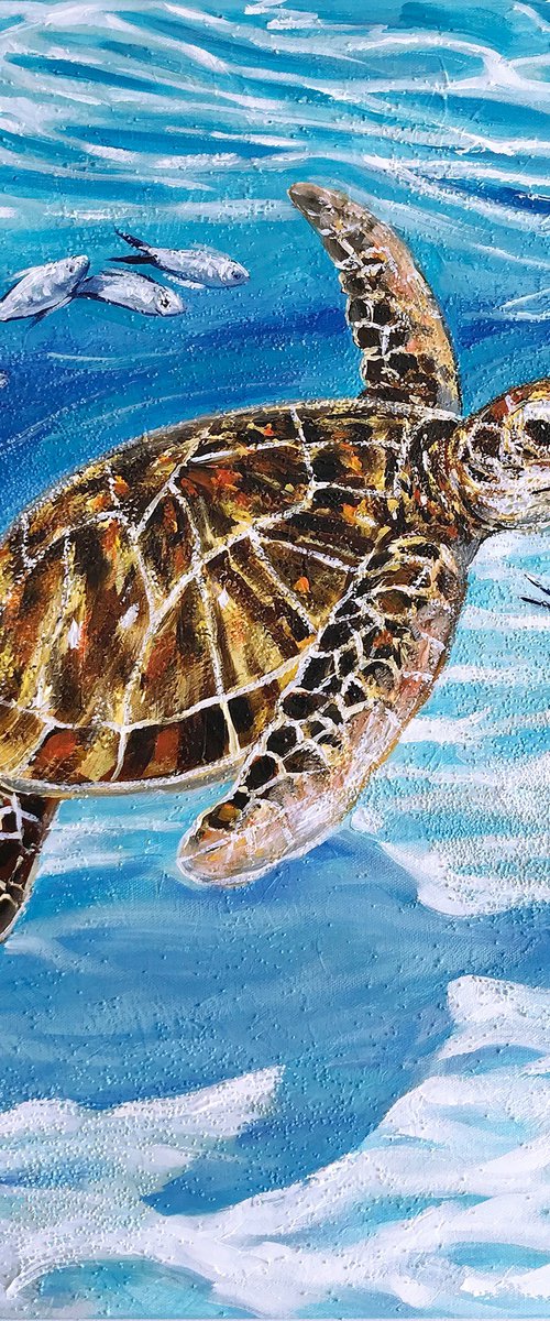 Sea turtle by Irina Redine