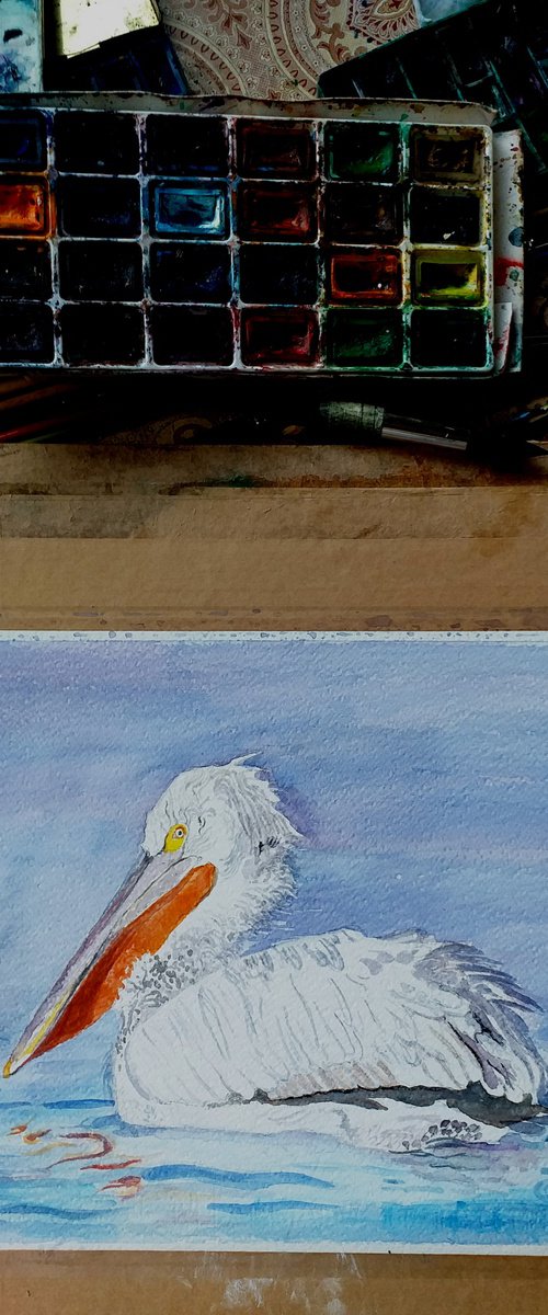 PELICAN by Zoran Mihajlović Muza