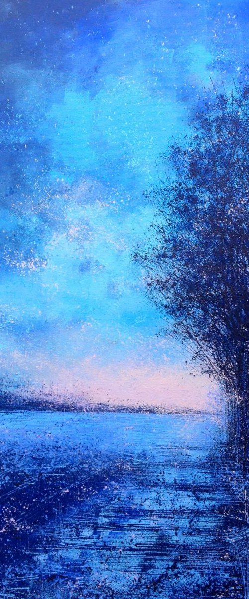 A Winter Sunset by Marc Todd