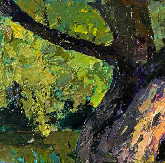 Tree near the River