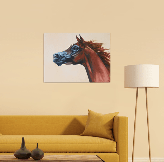 Arabian horse