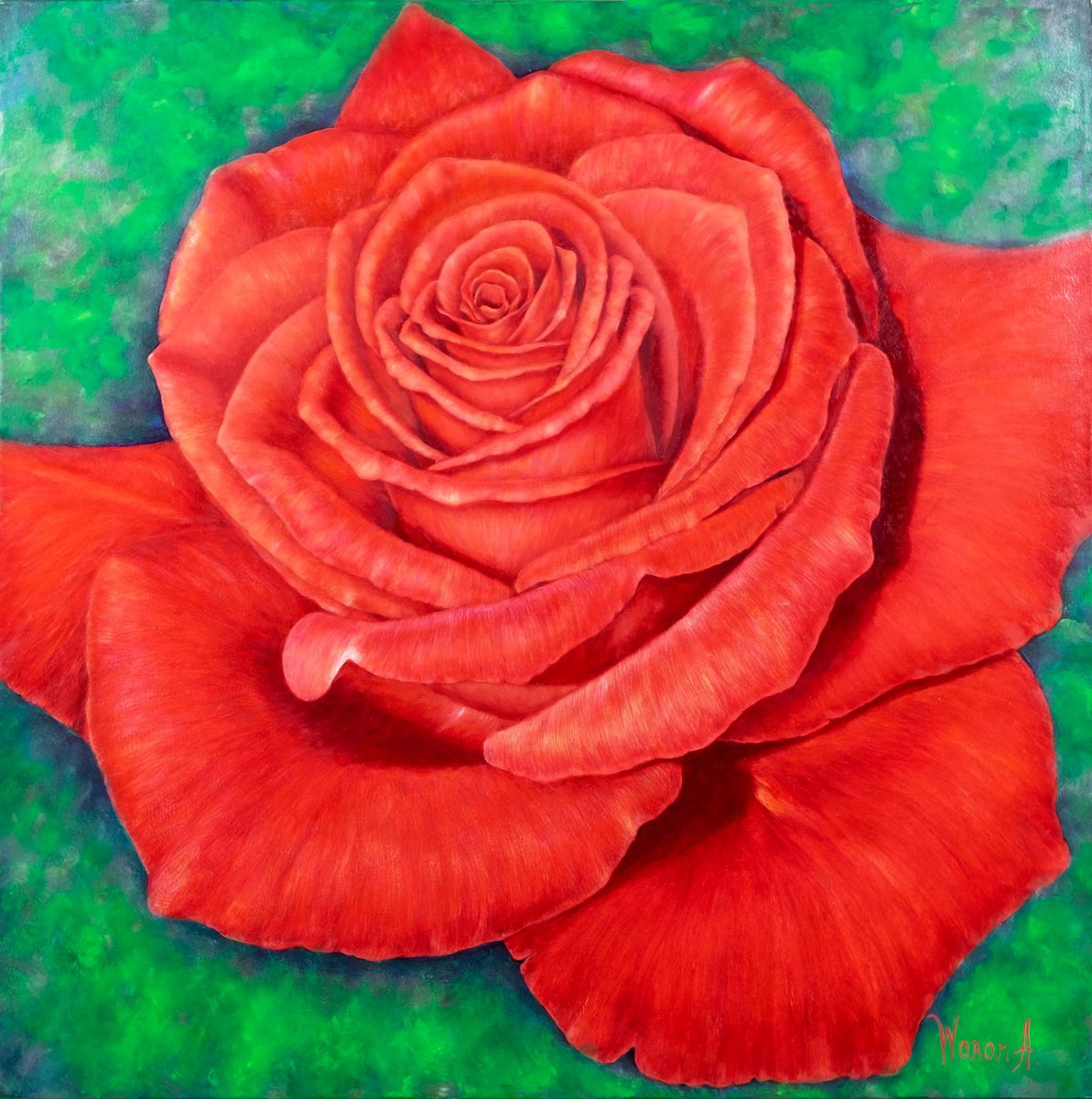 ROSE. PORTRAIT OF THE RED ROSE. by Anastasia Woron