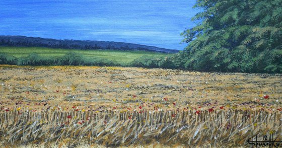 Wheat field.  Acrylic on panel 20*40cm