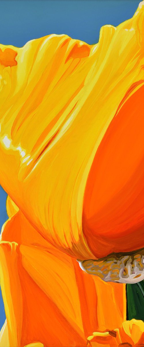 Californian Poppy and Wind #6 by Alex Nizovsky