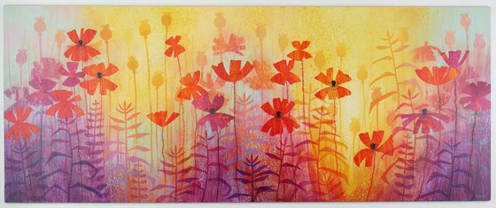 Poppies Bathed in Gold