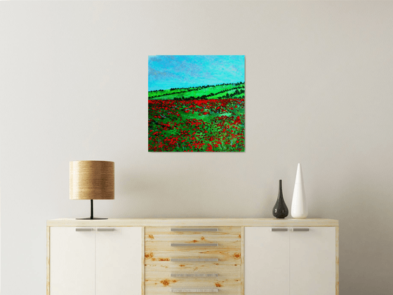 Hampshire Poppy field