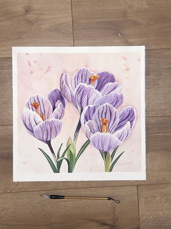 Crocus