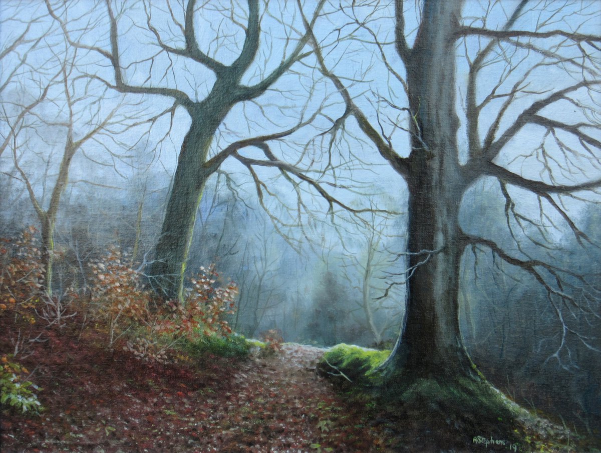 Misty Woods by Alan Stephens