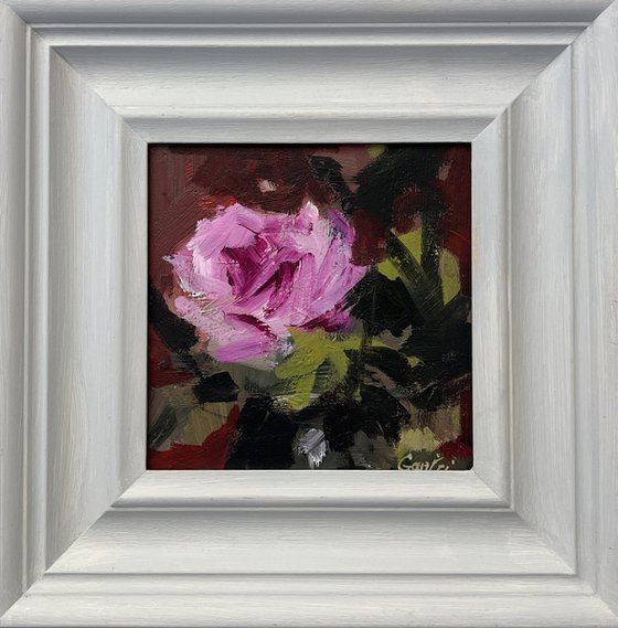 Purple Rose