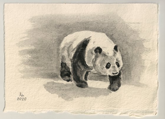 Walking panda