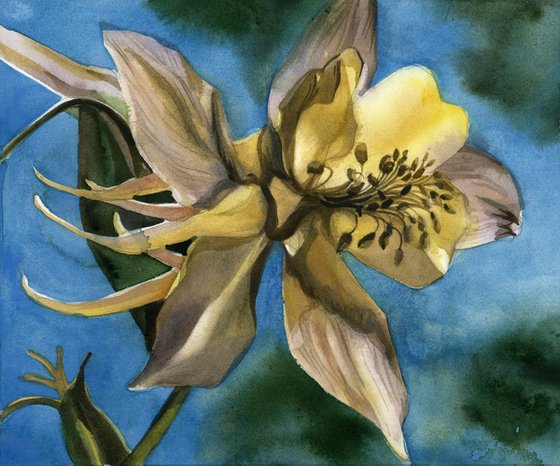 columbine with blue watercolor floral