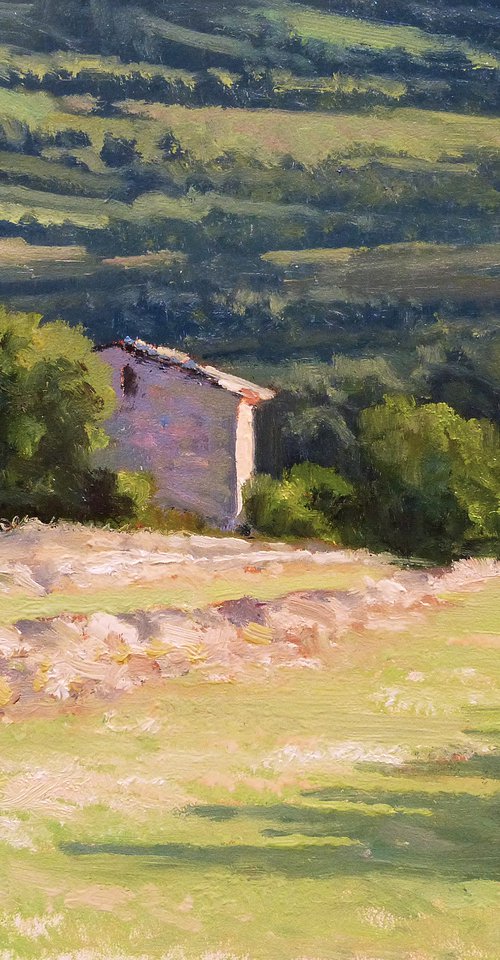 Hay Field and Shed by Pascal Giroud