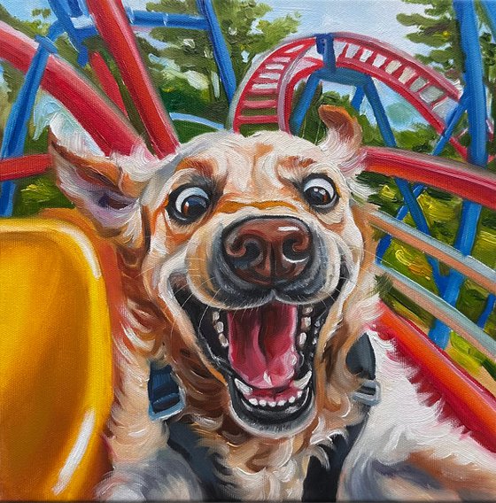 No Brakes | Dog on Rollercoaster
