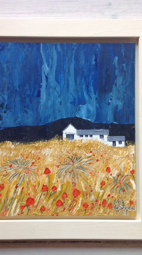 Cottages against the dark sky by Les  Powderhill
