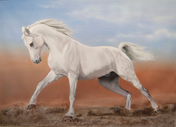 White horse