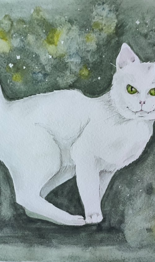 White cat. Watercolor painting on paper. Original artwork by Svetlana Vorobyeva by Svetlana Vorobyeva