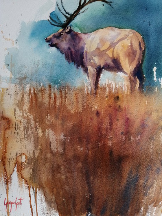 deer 7