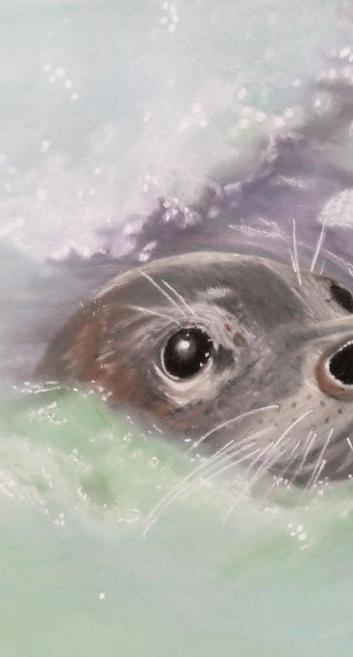 Mr Seal by Debbie Young