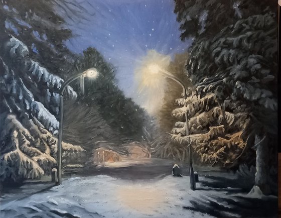 The Snowy Night
