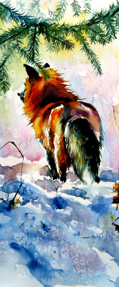 Red fox watching wintertime by Kovács Anna Brigitta
