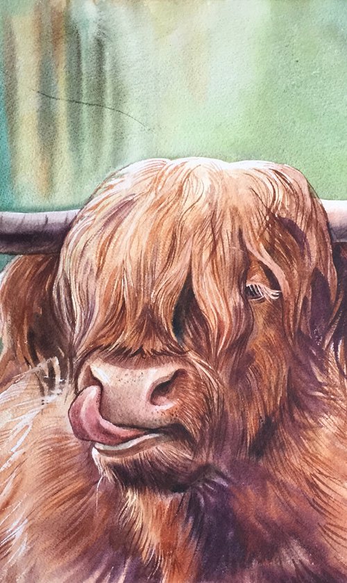 Bull. Portrait of a bull. by Natalia Veyner