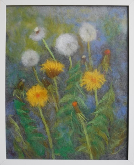 Dandelions