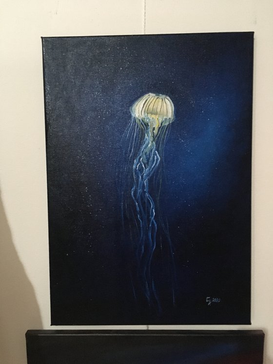 Jellyfish