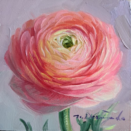 Ranunculus flower painting