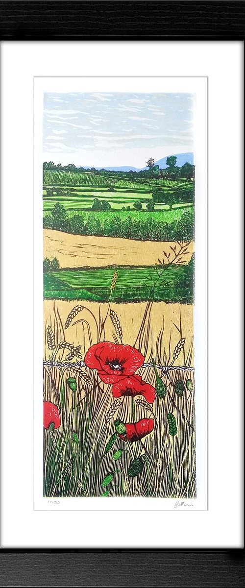 Poppies in the corn by Carolynne Coulson