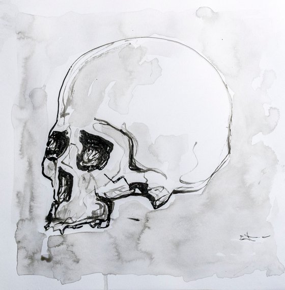 Skull