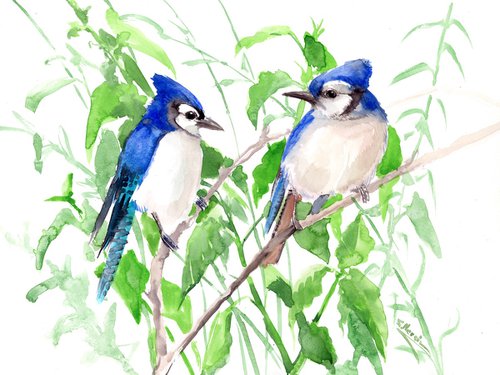 Blue Jay birds and Green Foliage by Suren Nersisyan